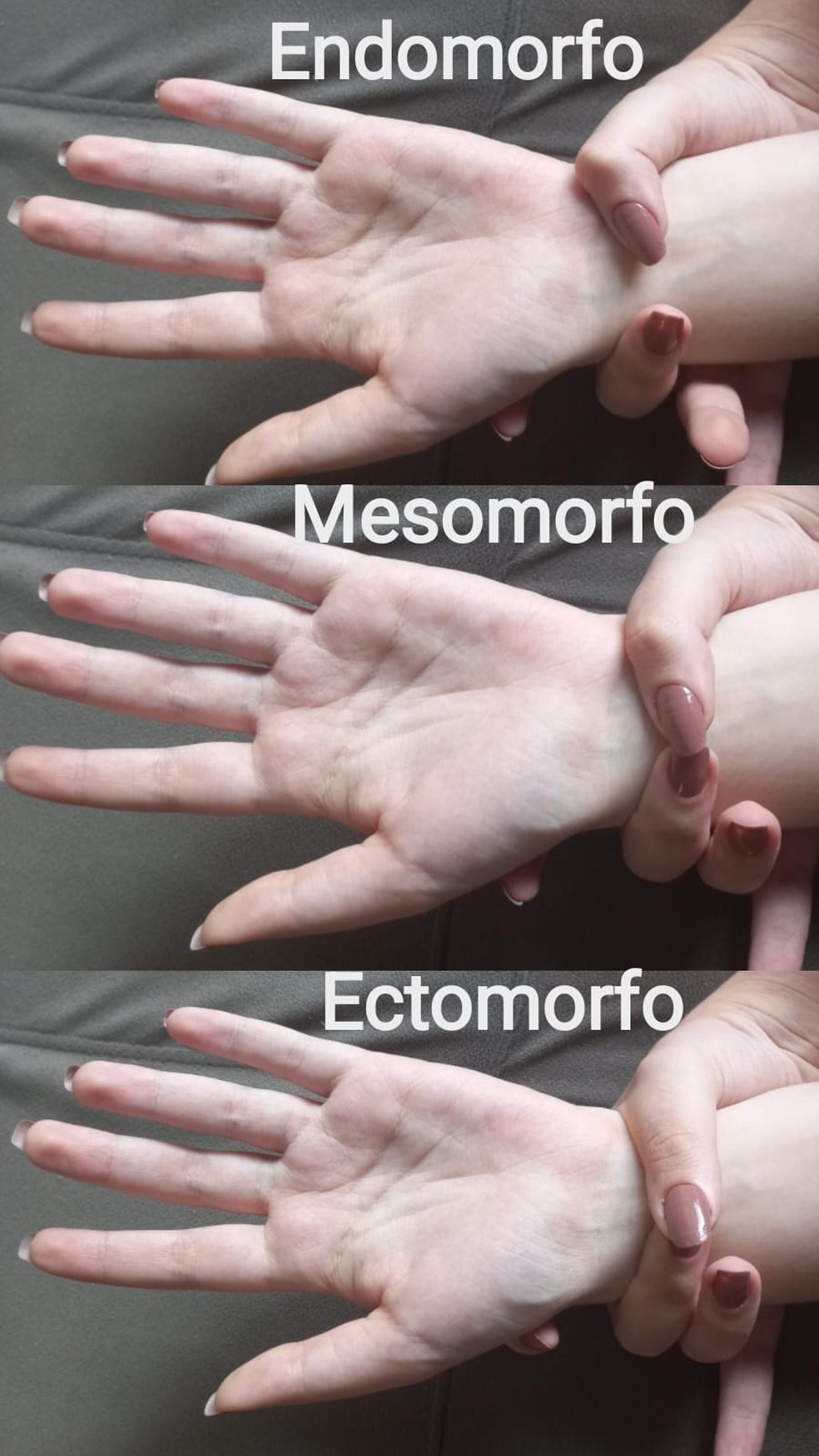 De cima para baixo: endomorfo, mesomorfo e ectomorfo  — Foto: Divulgação