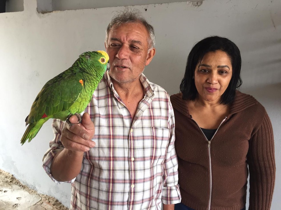 Após decisão da Justiça, Lourinha voltou ao convívio de família moradora de Presidente Prudente — Foto: Murilo Zara/TV Fronteira
