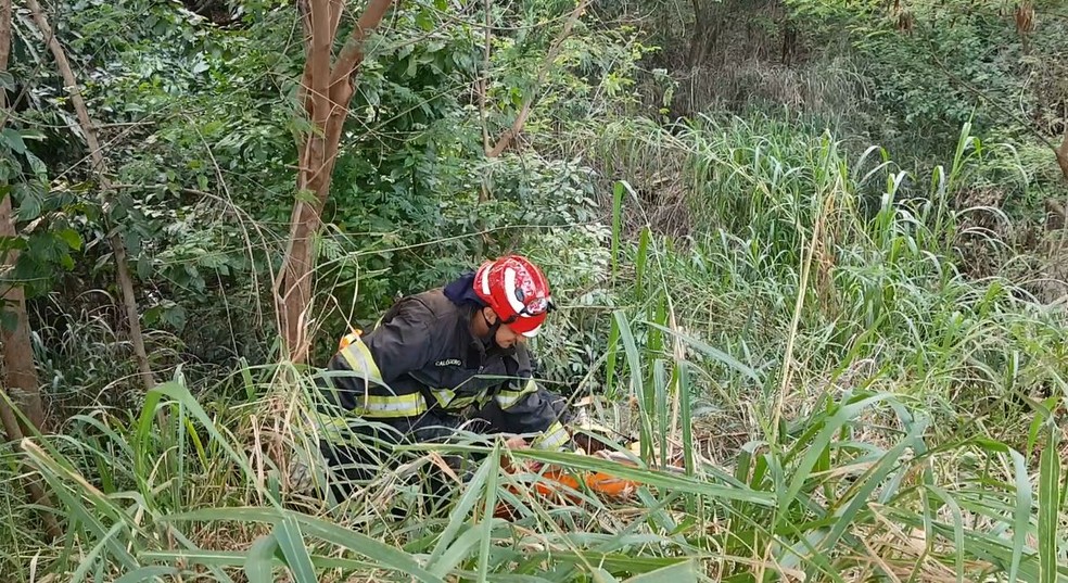 Bombeiros utilizaram técnicas de rapel para resgatar o idoso em Marília  — Foto: Alcyr Netto / TV TEM 