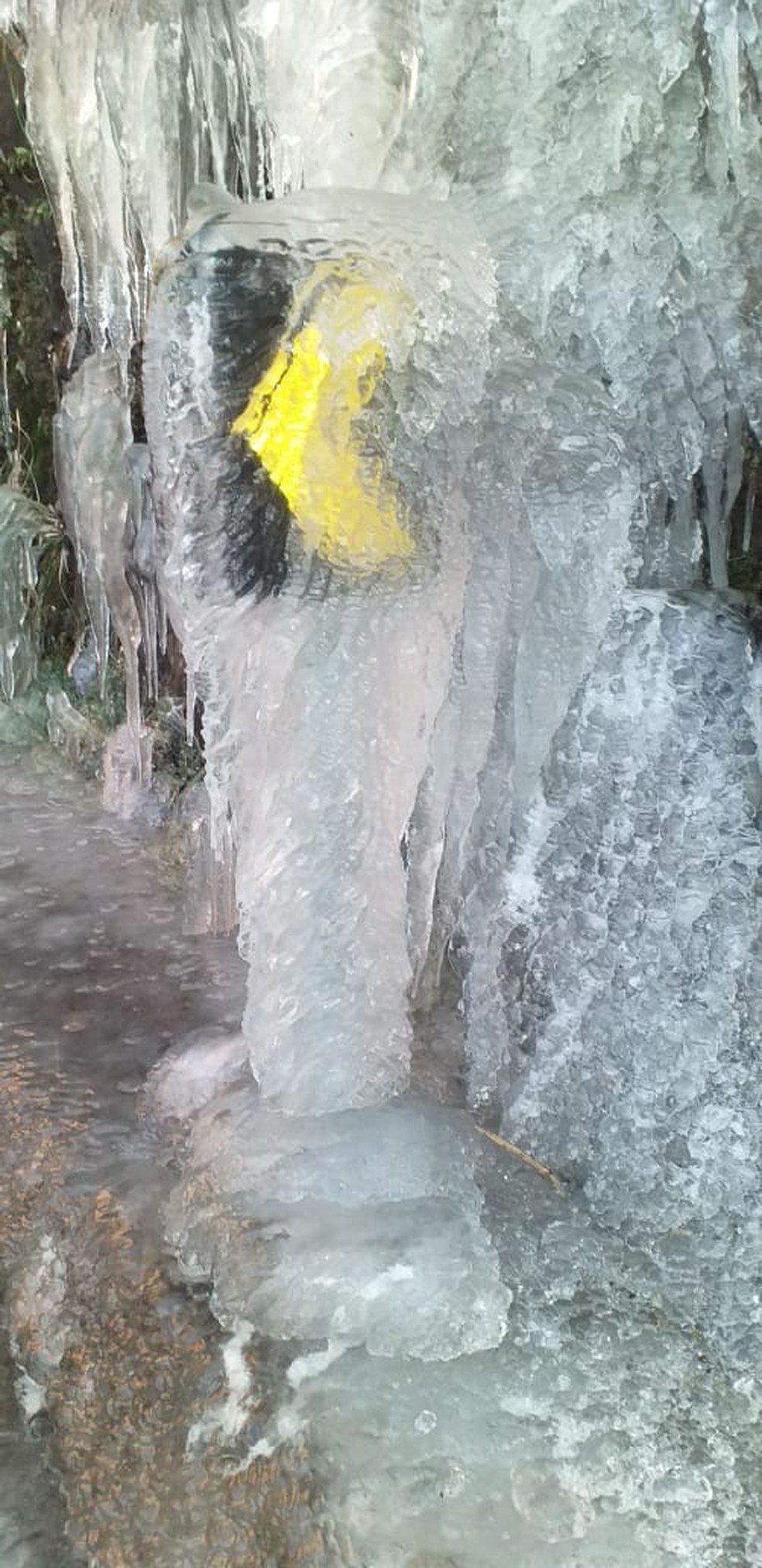Serra do Rio do Rastro, sábado (6): Placa de sinalização ficou coberta de gelo  — Foto: Corpo de Bombeiros/Divulgação