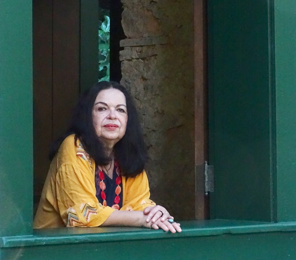 Amelinha volta ao disco com songbook dos compositores cearenses Caio Silvio e Ricardo Alcântara |  Weblog do Mauro Ferreira