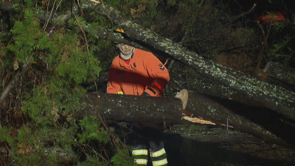 Bombeiro corta tronco de árvore caída em frente ao Alvorada sob impacto da chuva e da ventania (Foto: TV Globo/Reprodução)