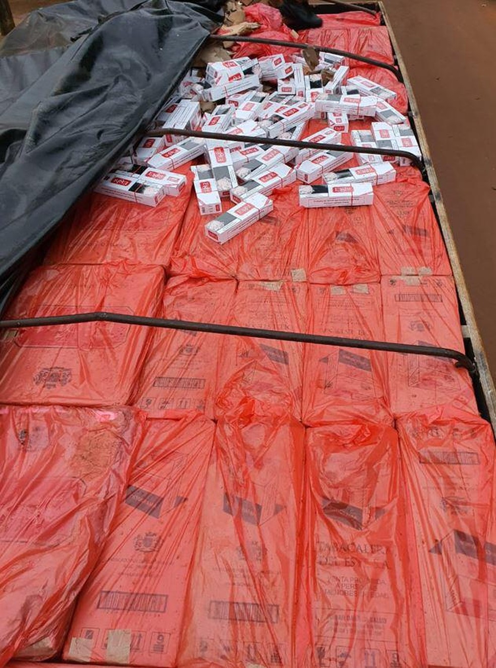 PF cumpre mais de 100 mandados em operação contra organização criminosa de transporte de cigarros contrabandeados no PR — Foto: Divulgação/PF