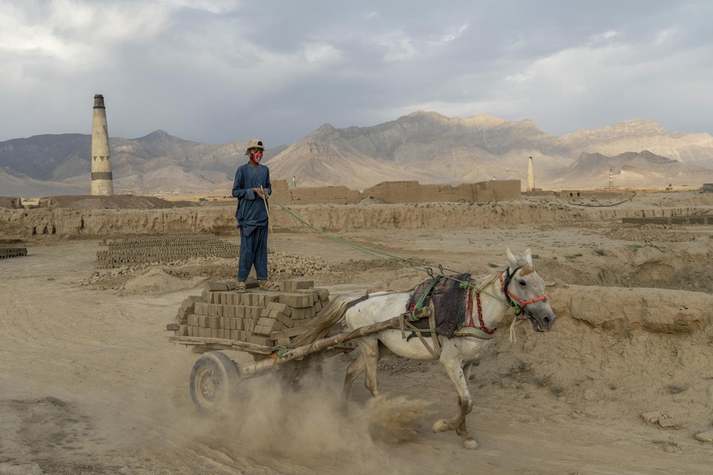 Menino transporta tijolos em fábrica nos arredores de Cabul — Foto: Ebrahim Noroozi/ AP