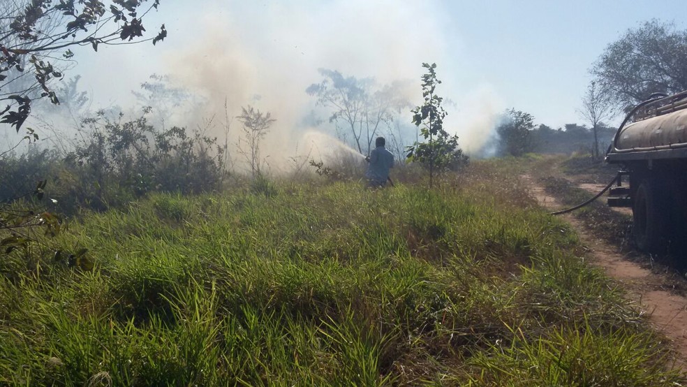 Incêndio atingiu reserva florestal em Presidente Epitácio (Foto: Djalma Weffort/Apoena)