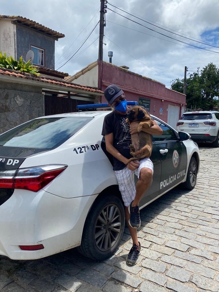 Animais vítimas de maus-tratos em canil clandestino em Búzios, RJ, são entregues a defensores 