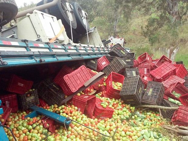 A carga de tomate ficou espalhada no acostamento, mas não atrapalhou o trânsito (Foto: Corpo de Bombeiros)