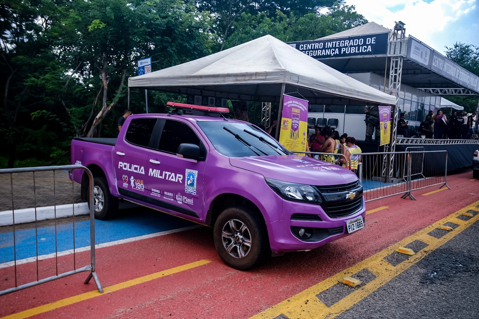 Corso 2023: Suspeito de violência contra a mulher é preso em flagrante durante a festa — Foto: Secretaria de Segurança do Piauí