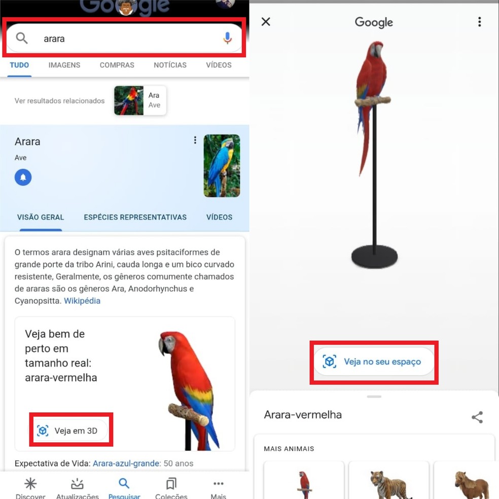 Faça uma pesquisa na busca para usar a Realidade Aumentada do Google — Foto: Reprodução/Clara Fabro 