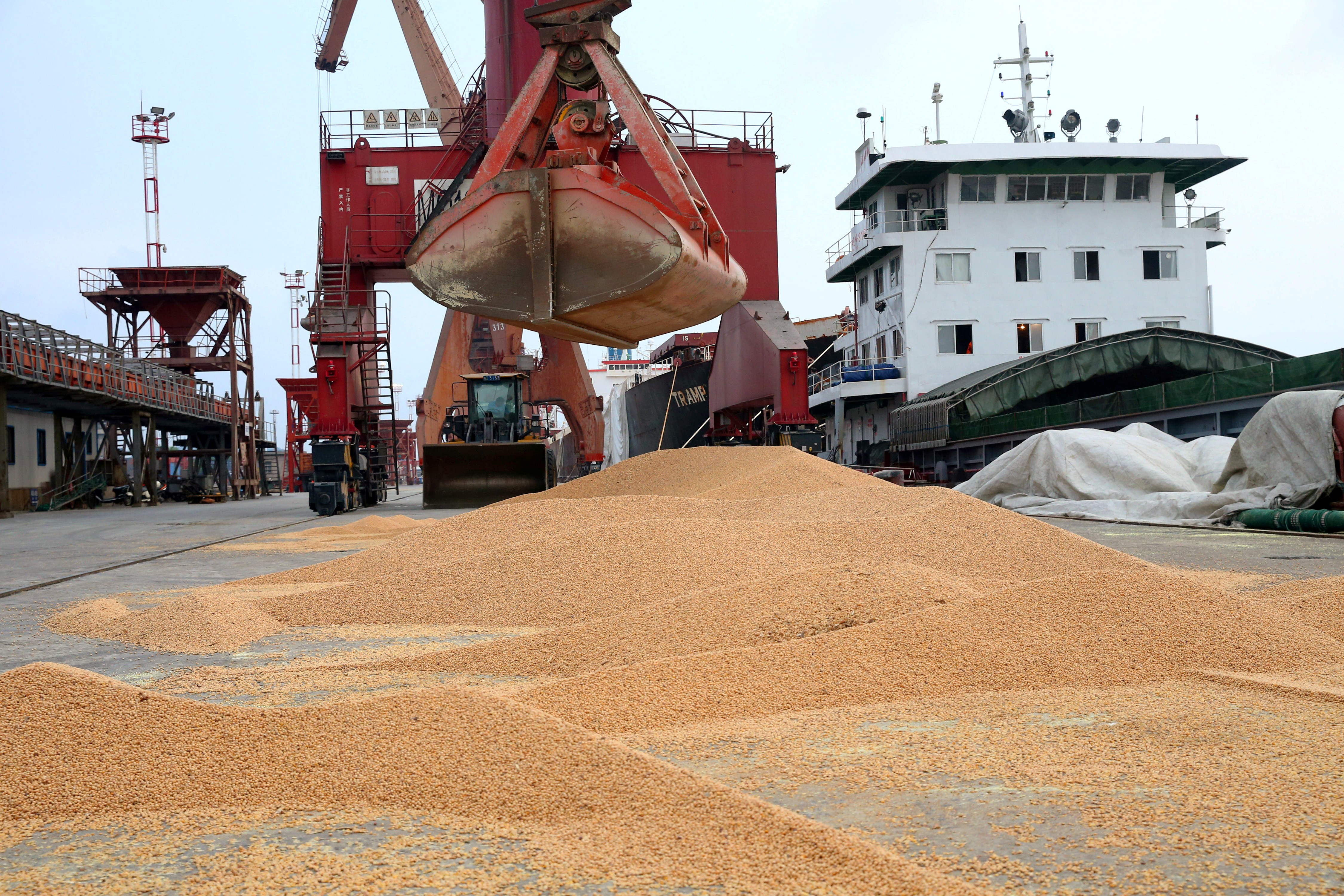 Soja importada é transportada de um navio em porto em Nantong, Jiangsu, na China (Foto: REUTERS/Stringer)
