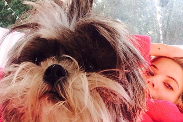 A Olive, cadelinha de Ashley Benson, não é uma graça? Além desta, a estrela de 'Pretty Little Liars' também é dona o cãozinho Walter. (Foto: Reprodução/Instagram)