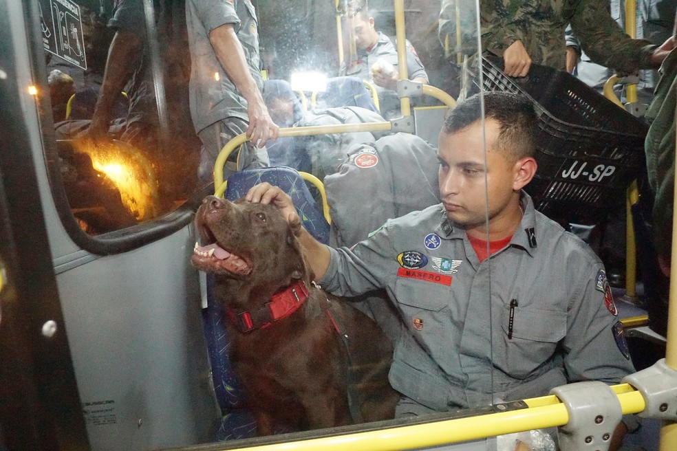 Bombeiros embarcaram na madrugada desta quinta (9) — Foto: Governo de SP/Divulgação