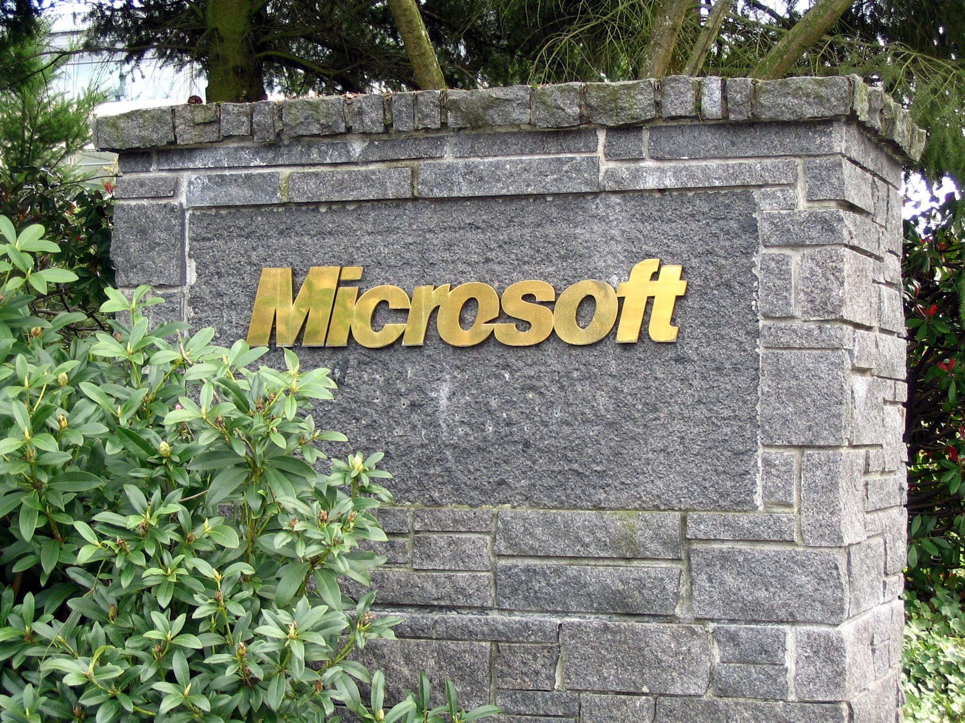 Microsoft é a favorita entre os homens (Foto: Wikimedia Commons)