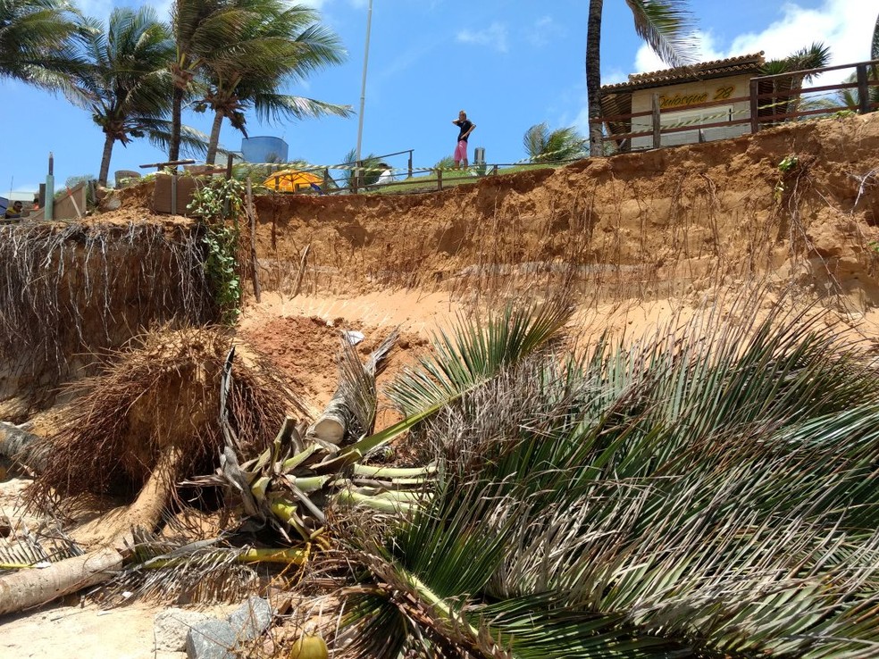 Maré alta derrubou coqueiros e ameaça calçadão da praia de Ponta Negra, em Natal (Foto: Margareth Rodrigues)