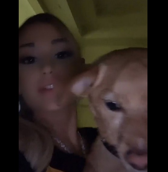 Ariana Grande com o cachorro em registro feito em casa após o término do Grammy 2020 (Foto: Instagram)