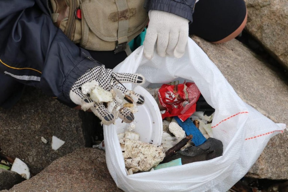 Resíduos como plástico e isopor foram os que mais apareceram no montante de lixo — Foto: Divulgação/Prefeitura de Santos