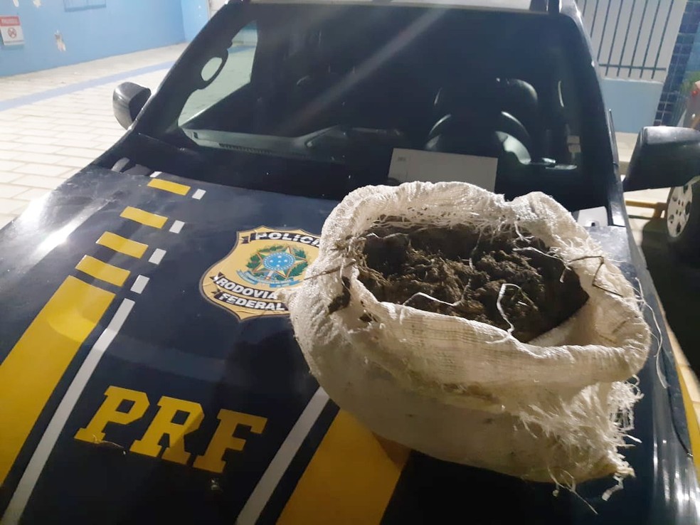 Maconha apreendida durante fiscalizações na BR-428 em Cabrobó.  — Foto: Polícia Rodoviária Federal (PRF)