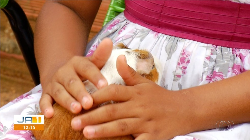 Mãe diz que filhas foram vítimas do mesmo homem que abusou dela — Foto: Reprodução/TV Anhanguera