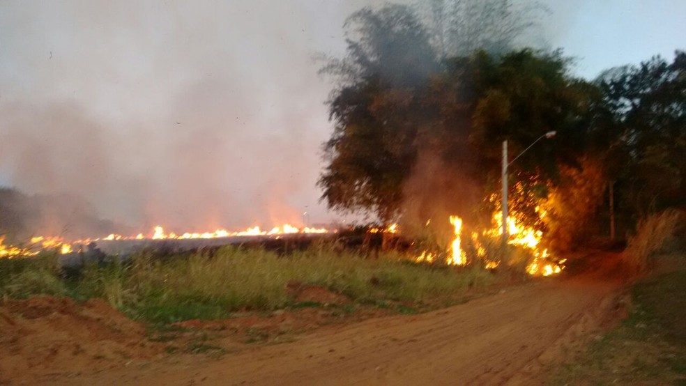 Fogo atingiu área de pastagem (Foto: Base de Socorristas/Junqueirópolis)