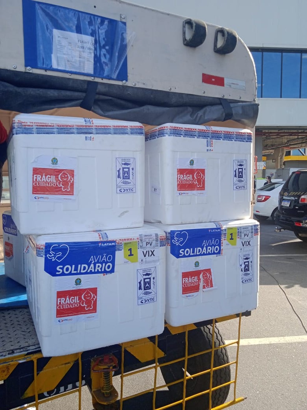 Doses são da CoronaVac e chegaram ao Aeroporto de Vitória na manhã desta sexta-feira (9) — Foto: Divulgação/Ministério da Saúde