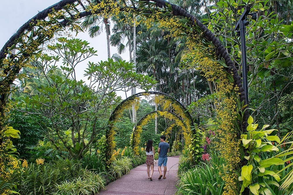 Singapore Botanic Gardens - Cingapura (Foto: Ko Hon Chiu Vincent / UNESCO / Divulgação)