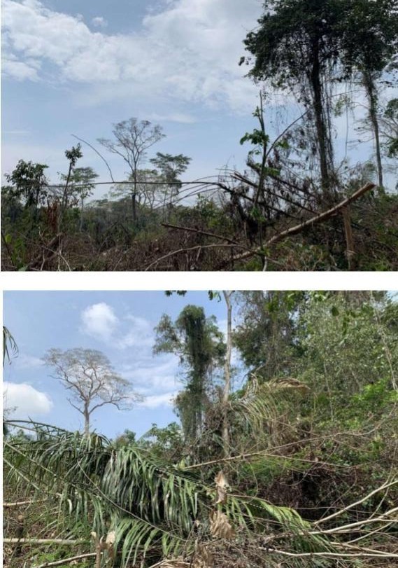 Ministério Púbico ajuíza 39 ações contra suspeitos de desmatarem mais de 1 milhão de hectares no Acre