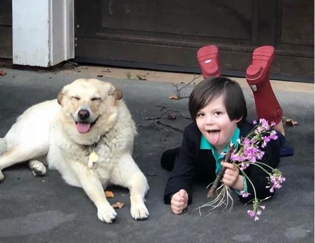 Menino de 5 anos se casa com cachorra de estimação (Foto: Reprodução)