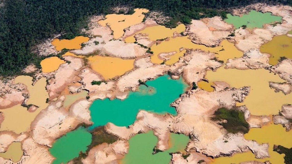 As maiores faixas de floresta remanescentes do mundo estão desaparecendo rapidamente — Foto: Getty Images