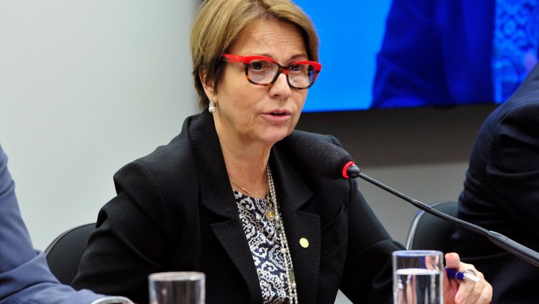 tereza-cristina-ministra-da-agricultura-bolsonaro (Foto: Luis Macedo / Câmara dos Deputados)