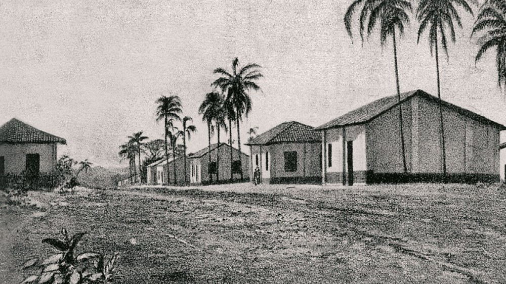 Escravos e colonos imigrantes trabalhando no terreiro de café da Fazenda Ibicaba, em Limeira