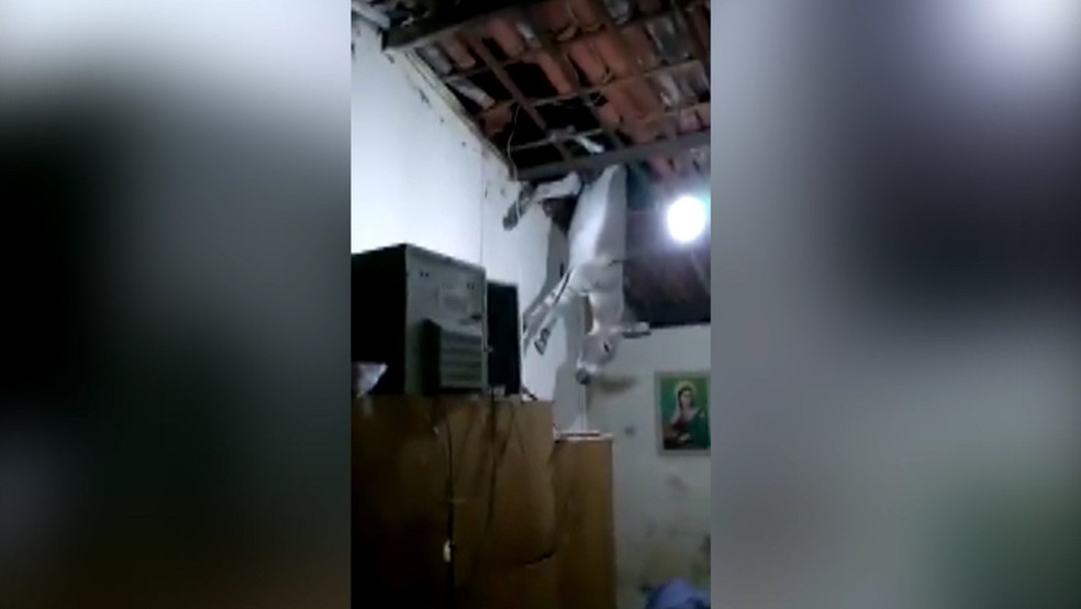 Resultado de imagem para Jumento cai em cozinha após subir no telhado