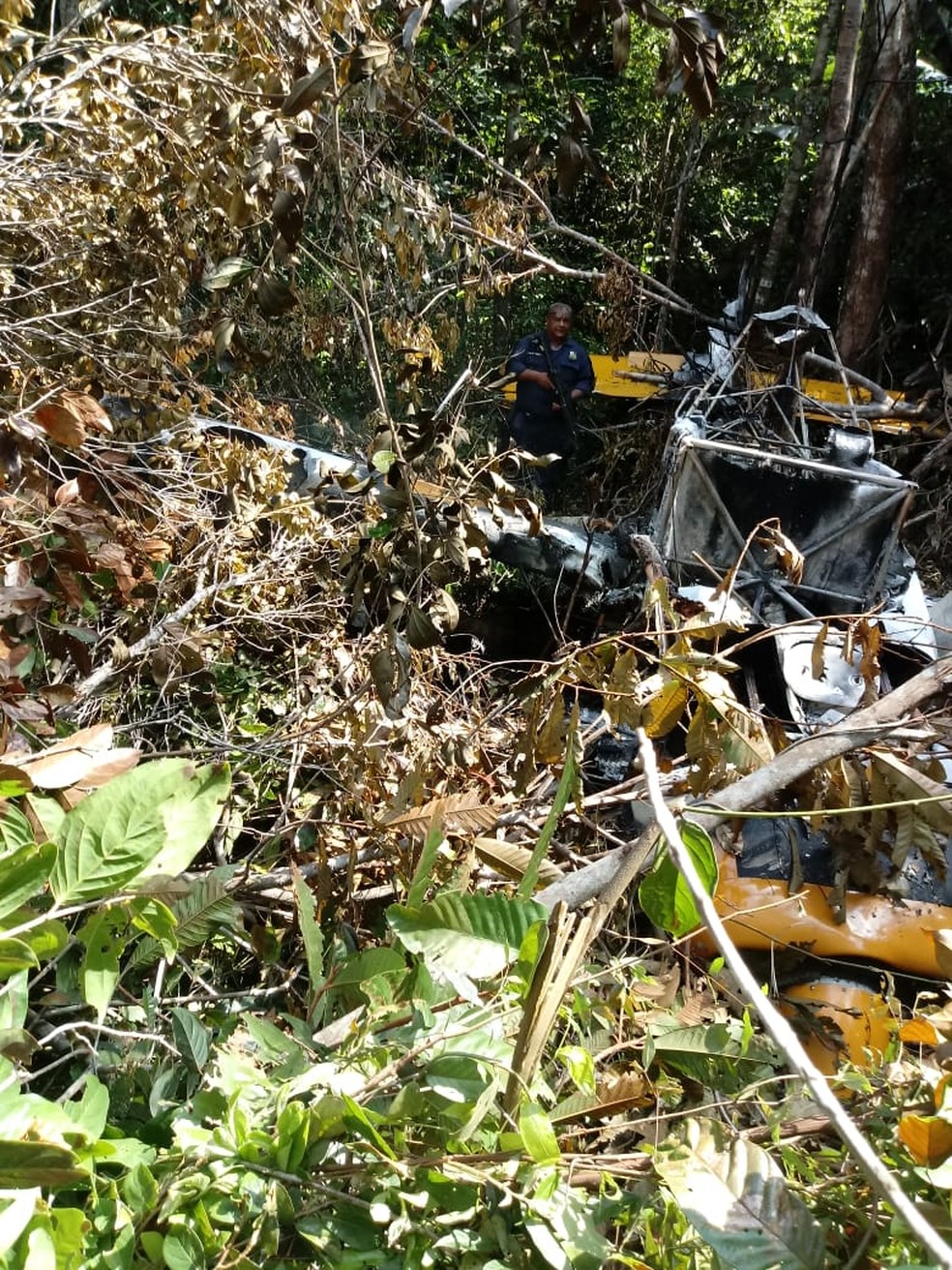 Avião agrícola caiu em uma área de mata no Distrito de União do Norte, em Peixoto de Azevedo — Foto: Polícia Militar de Mato Grosso/Divulgação