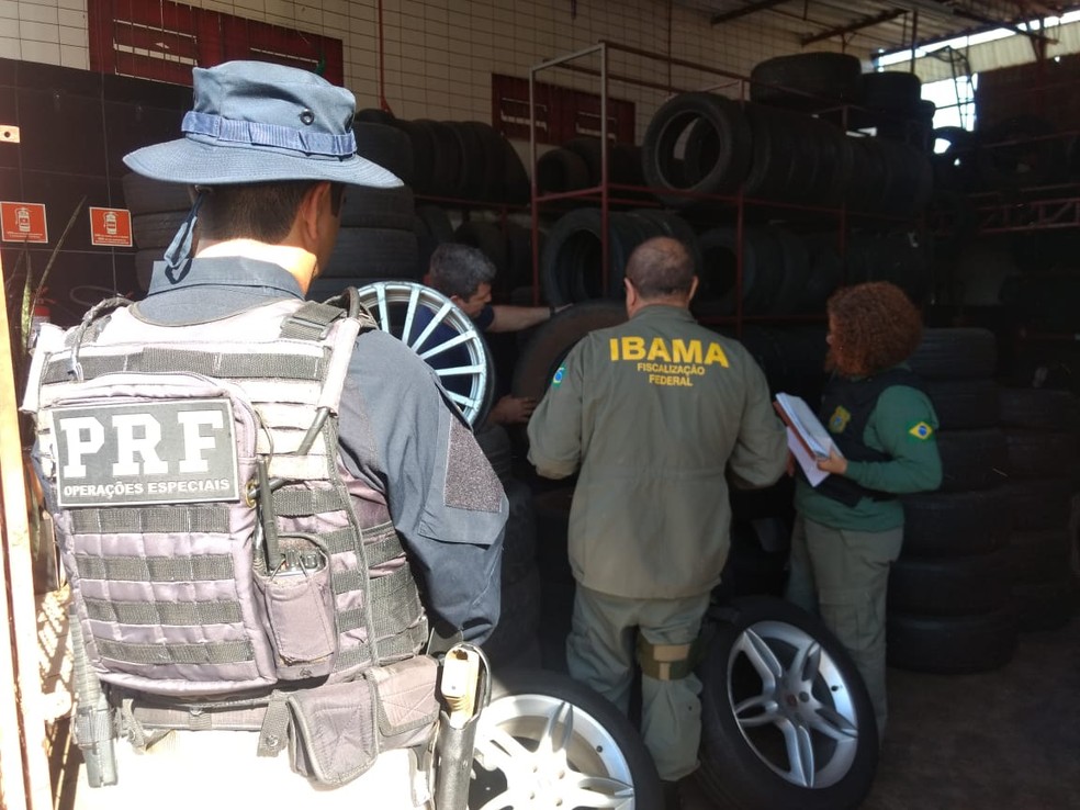 Fiscalização apreendeu mais de 600 pneus somente em MS — Foto: Ibama/Divulgação