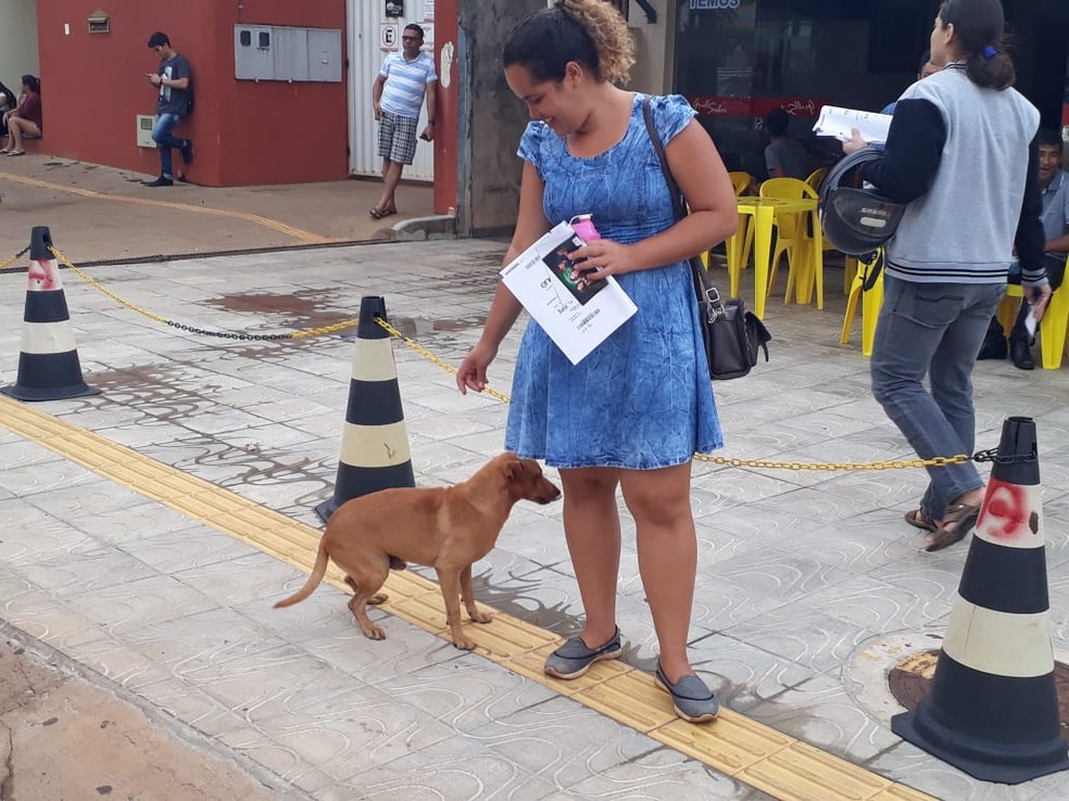 Cão e dona voltaram para casa juntos.  — Foto: Magda Oliveira/G1