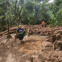 GRAD atua no resgate de animais que ficaram presos nos escombros e em casas nas áreas de risco, ou que fugiram e estão perdidos