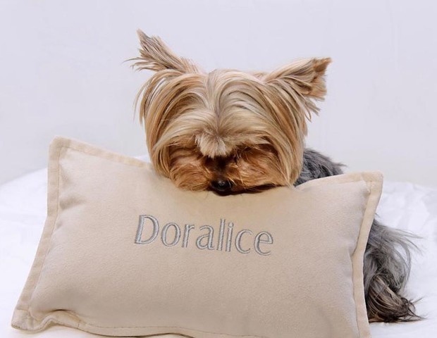 Doralice, cadelinha de Xuxa (Foto: Reprodução/Instagram  @bladmeneghel)