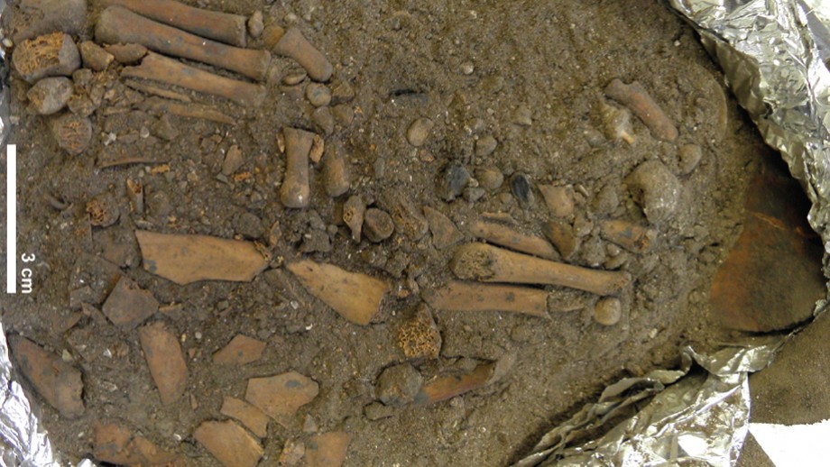 Arqueólogos descobrem sepultamento de uma criança datado de 8 mil anos (Foto: Reprodução/ANU)