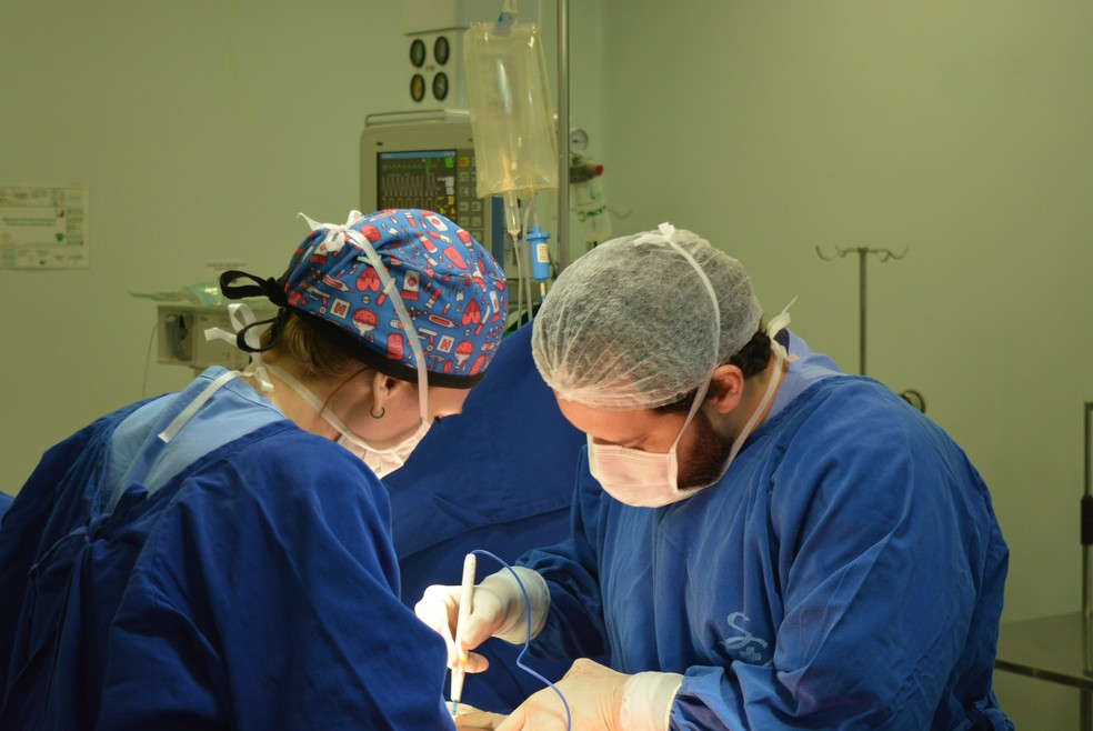Captação do fígado realizada pela equipe Hospital das Clínicas de São Paulo — Foto: Assessoria de Imprensa Santa Casa de Presidente Prudente