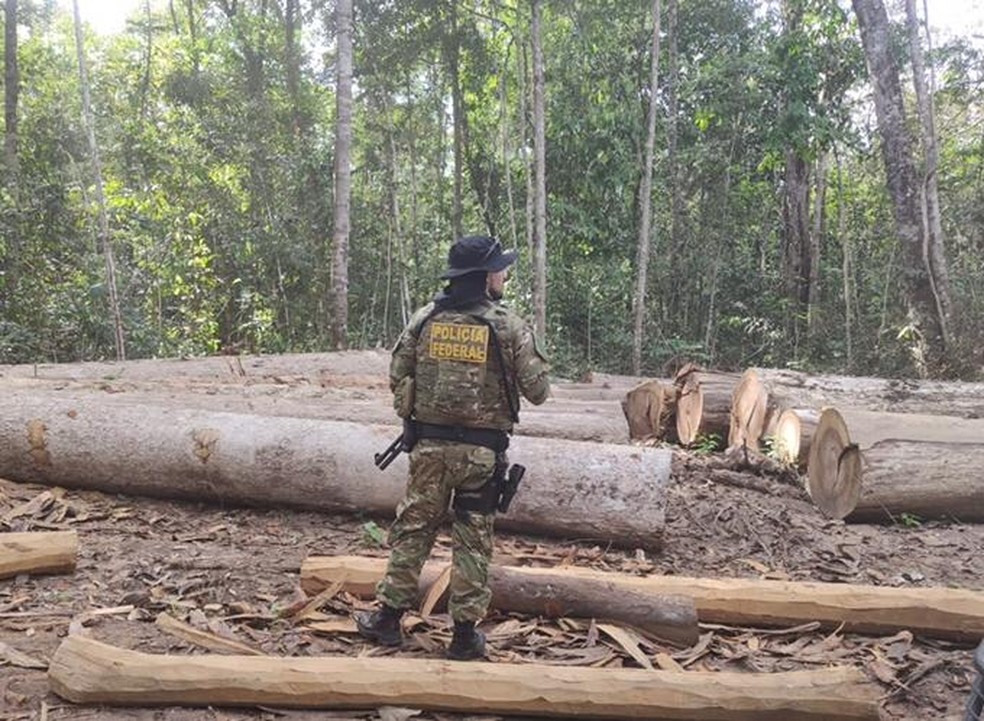 Operação Êxodo em Rondônia investiga desmatamento em terra indígena — Foto: PF/Divulgação