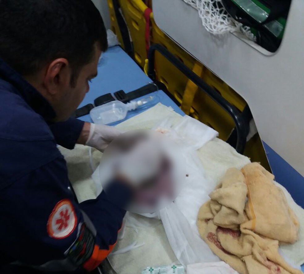Criança recebeu os primeiros atendimentos na ambulância (Foto: Samu Santarém/Arquivo Pessoal)