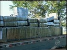 Polícia apreende caminhão com dez toneladas de maconha em Avaré