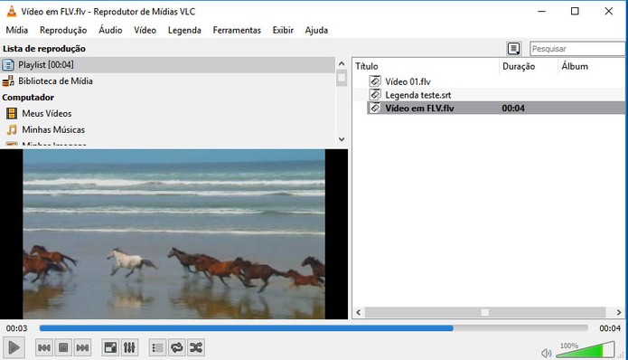 VLC Media Player é completo para rodar vídeos em FLV (Foto: Reprodução/Barbara Mannara)