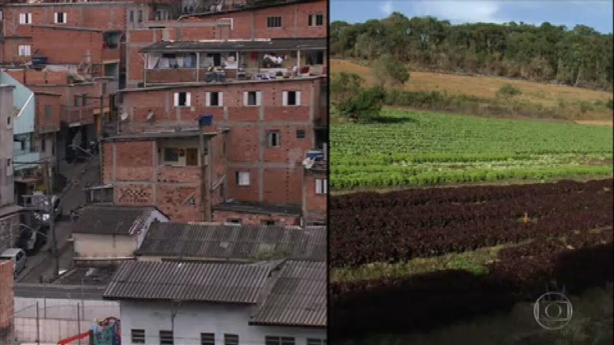 Reveja os projetos sociais que levam produtos de agricultores a famílias de baixa renda do país thumbnail