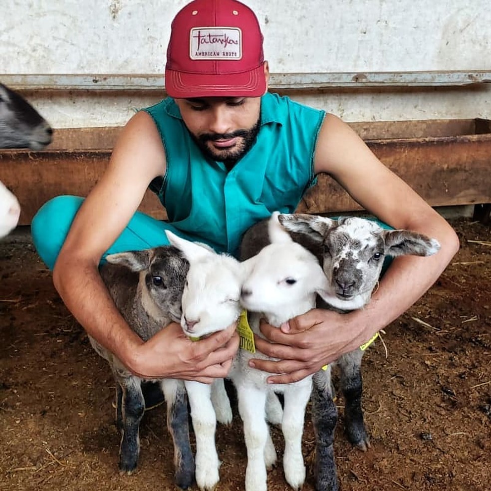 Pesquisador realiza pesquisa em Reprodução Animal na Unesp de Botucatu (SP) — Foto: Luan Sitó da Silva/Arquivo pessoal