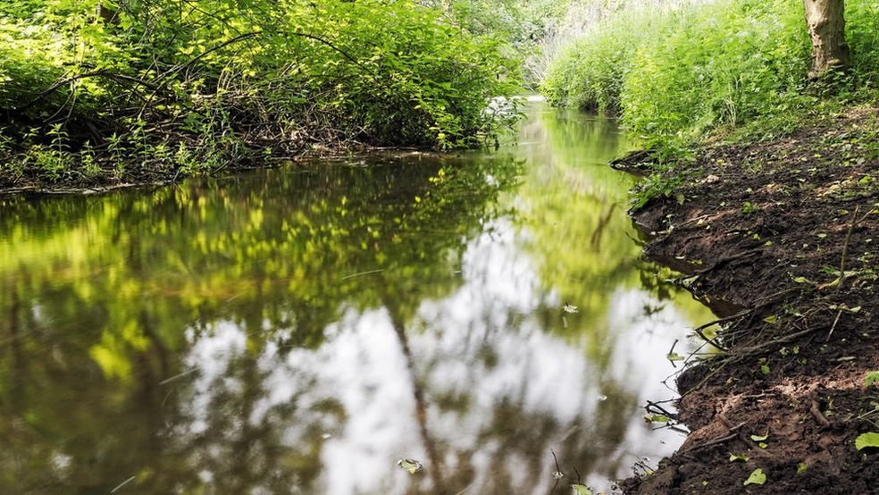 Lei também determina preservação de áreas ecologicamente sensíveis, como nascentes e margens de rios (Foto: Getty Images)