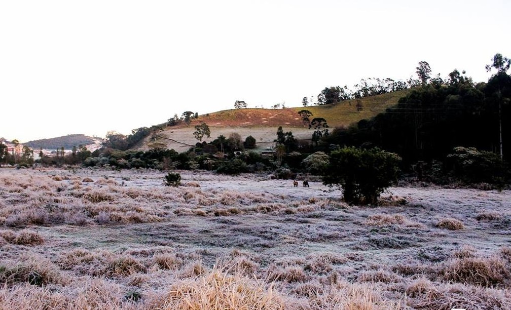 Maria da Fé (MG) teve geada e baixas temperaturas (Foto: William Siqueira)