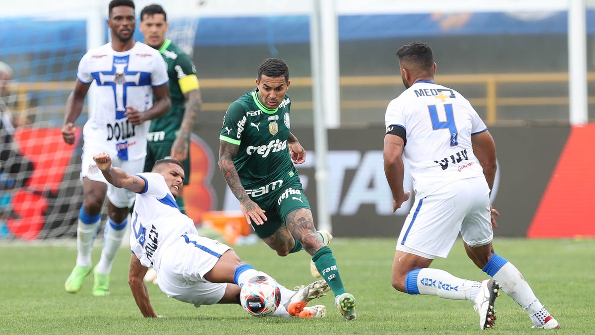 Palmeiras vai enfrentar o Água Santa na final do Paulistão; veja retrospecto