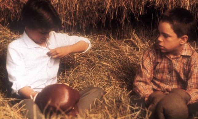 Minha vida de cachorro, direção Lasse Hallström (Foto: Divulgação)