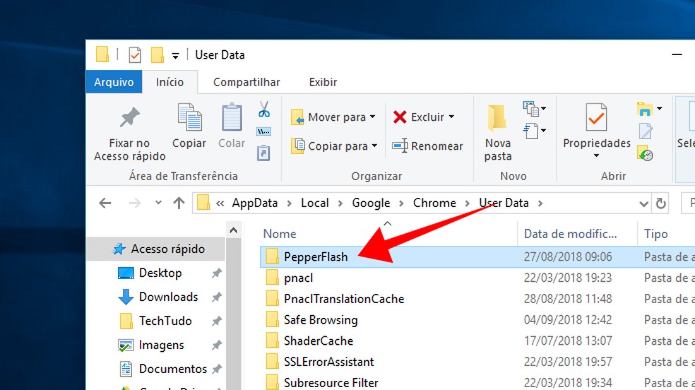 Acesse a pasta PepperFlash no Windows (Foto: Reprodução/Paulo Alves)