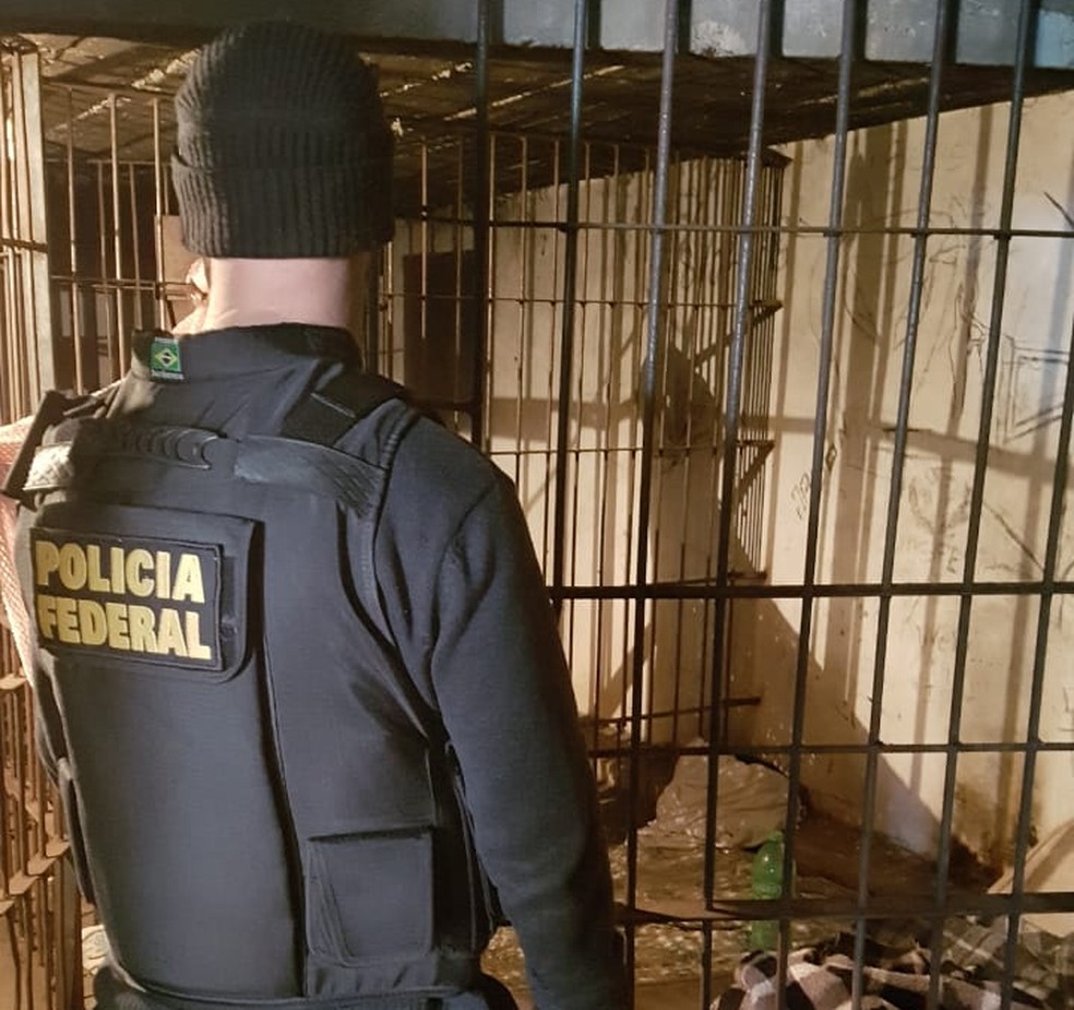 Polícia investiga celas encontradas na reserva. (Foto: Polícia Federal/Divulgação)